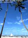 Brasile, jangadas sulle spiagge del Cear�